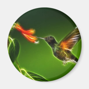 Íman Colibri verde de Violetear