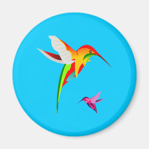 Íman Colibris do vôo