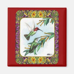 Íman Colibris e flores #4