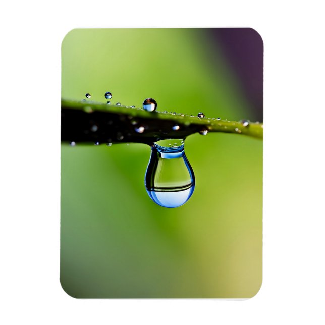 Íman Colírio de macro (Vertical)