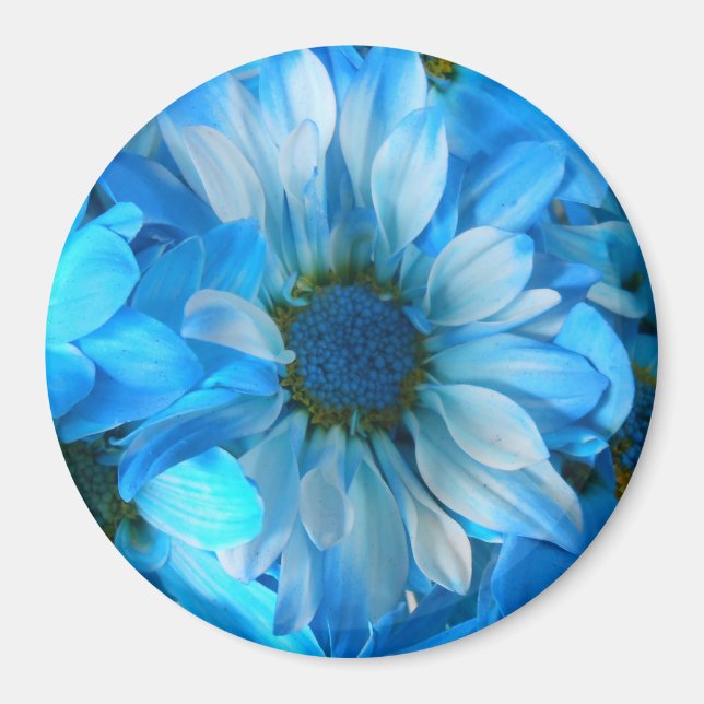 Íman Collaert (Frente)