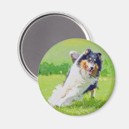 Íman Collie
