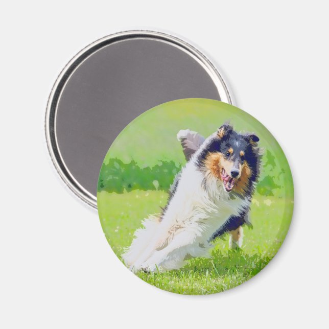Íman Collie (Front/Back)