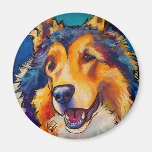 Íman Collie áspero