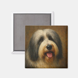 Íman Collie Barbudo