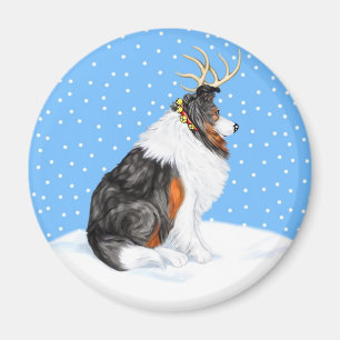 Íman Collie Christmas Reindeer Tri