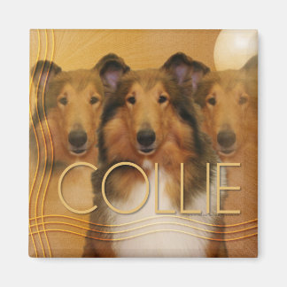 Íman Collie Crescent Moon