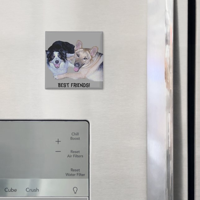 Íman Collie & German shepherd da borda dos melhores ami (In Situ (Fridge))