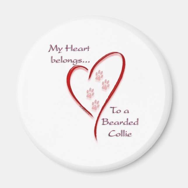 Íman Collie Heart Pertence (Frente)
