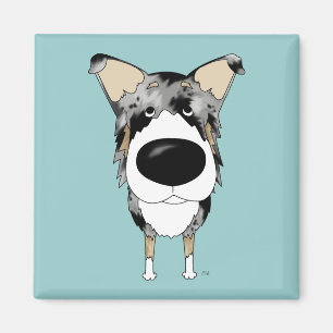 Íman Collie liso do nariz grande