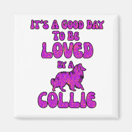 Íman Collie Magnet