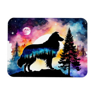 Íman Collie no topo da montanha sobre floresta colorida