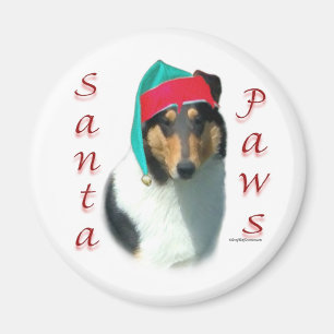 Íman Collie (Papais noeis lisos) Paws