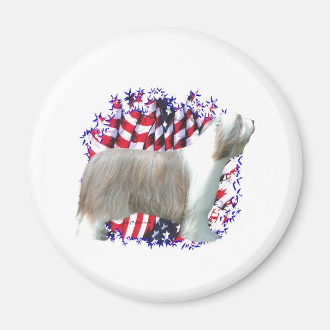 Íman Collie Patriot (Frente)