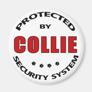 Íman Collie Security