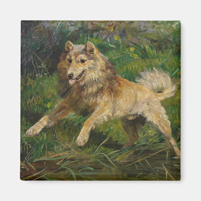 Íman Collie toma Sapo por Hermine Biedermann (Frente)