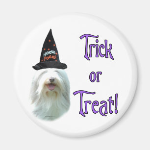 Íman Collie Trick