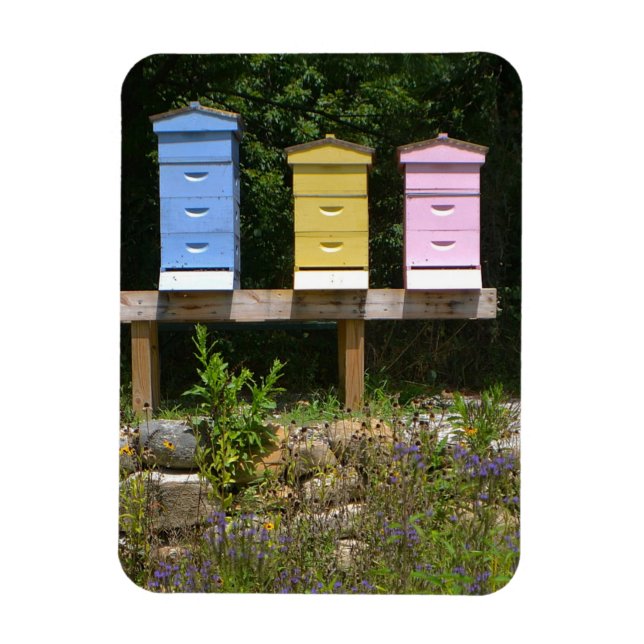 Íman Colmeia (Vertical)