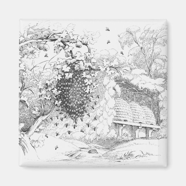 Íman Colmeias de Abelhas Vintage (Frente)