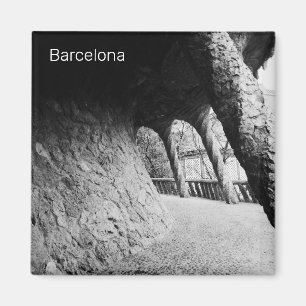 Íman Colônia Bnw de Park Guell