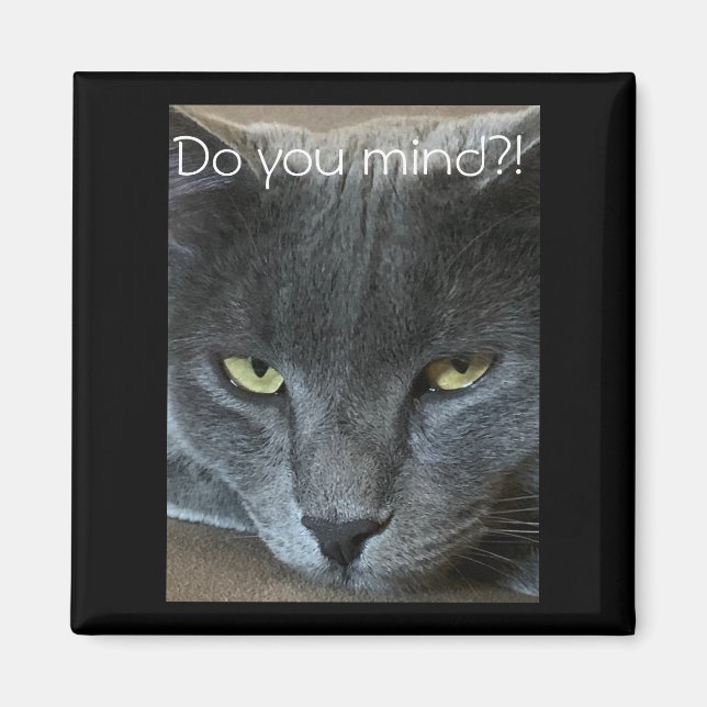 Íman Coloque o ímã Cat "Você se importa?!" (Frente)