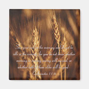 Íman Coloque sua semente...-Íman