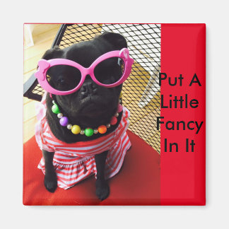 Íman Coloque Um Pequeno Rico Nele