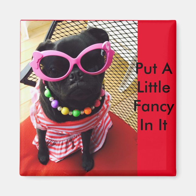 Íman Coloque Um Pequeno Rico Nele (Frente)