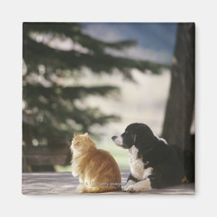 Íman Colorado ocidental, EUA