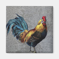Colorida Rooster Bantam
