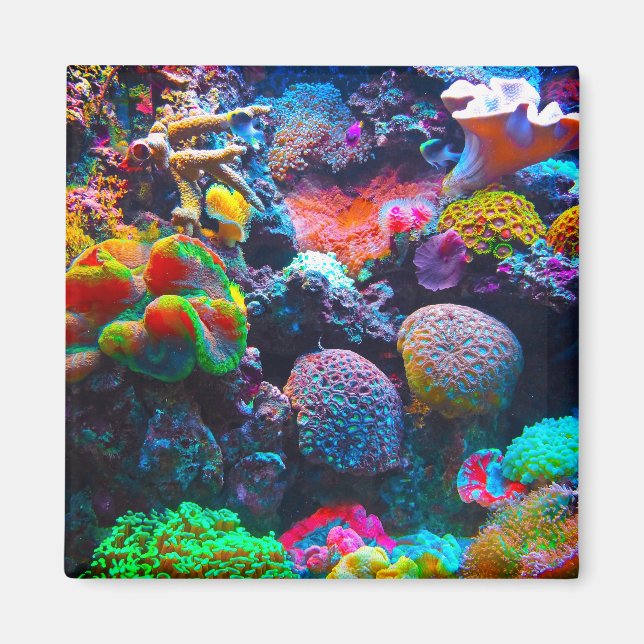 Íman colorido do oceano (Frente)