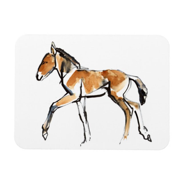 Íman Colt (Horizontal)
