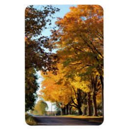 Íman Colunas do outono na Estrada do País