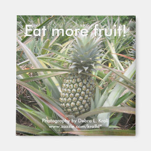 Íman Coma mais fruta! Ímã do abacaxi