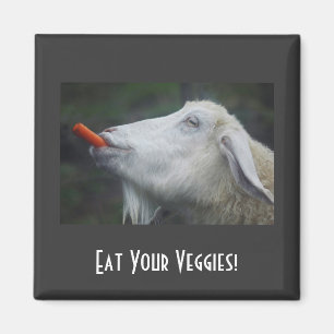 Íman Coma seus vegetarianos!