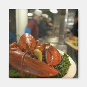 Íman Comensal da lagosta