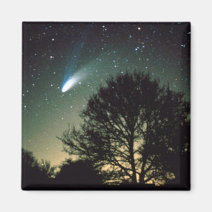 Íman Comet Hale-Bopp e Tree Magnet