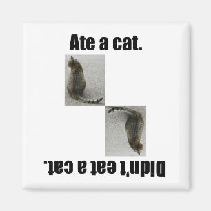 Íman Comeu um gato