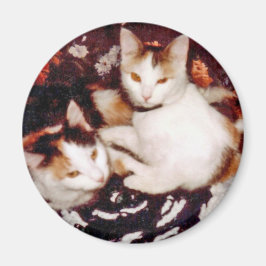 Íman Comfy Cats Magnet