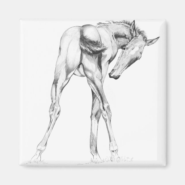 Íman Comichão (Frente)