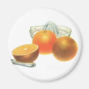 Íman Comida Antiga Fruta, Laranjas Maduras Espremedor C