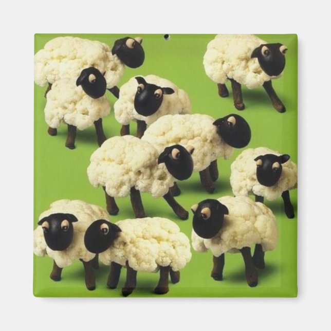 Íman Comida de ovinos (Frente)