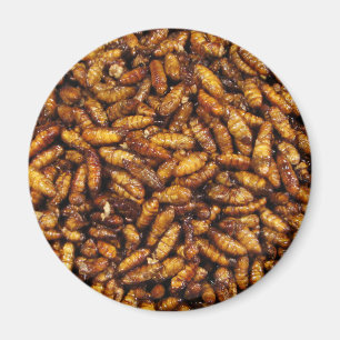 Íman Comida tailandesa de seda fritada da rua dos