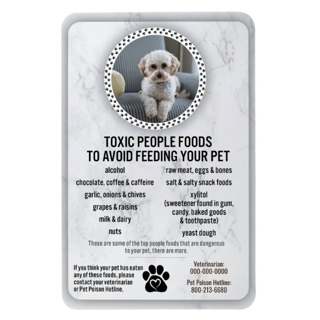 Íman Comidas de segurança de Comida perigosas para evit (Vertical)