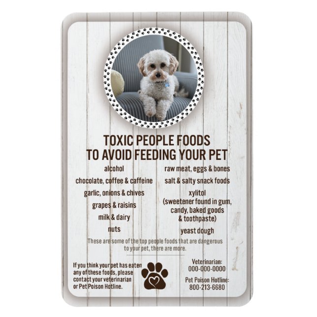 Íman Comidas de segurança de Comida perigosas para evit (Vertical)