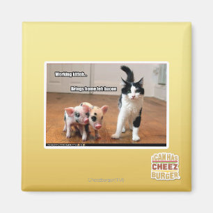 Íman Comitê de Trabalho