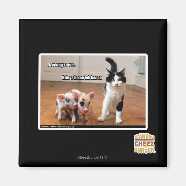 Íman Comitê de Trabalho (Frente)