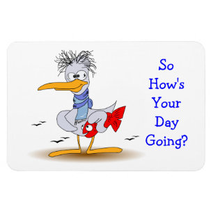 Íman Como é sua gaivota engraçada maluco ir do pássa