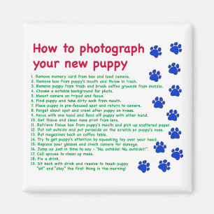 Íman Como fotografar seu novo filhote