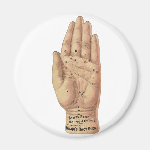 Íman Como ler as palmas